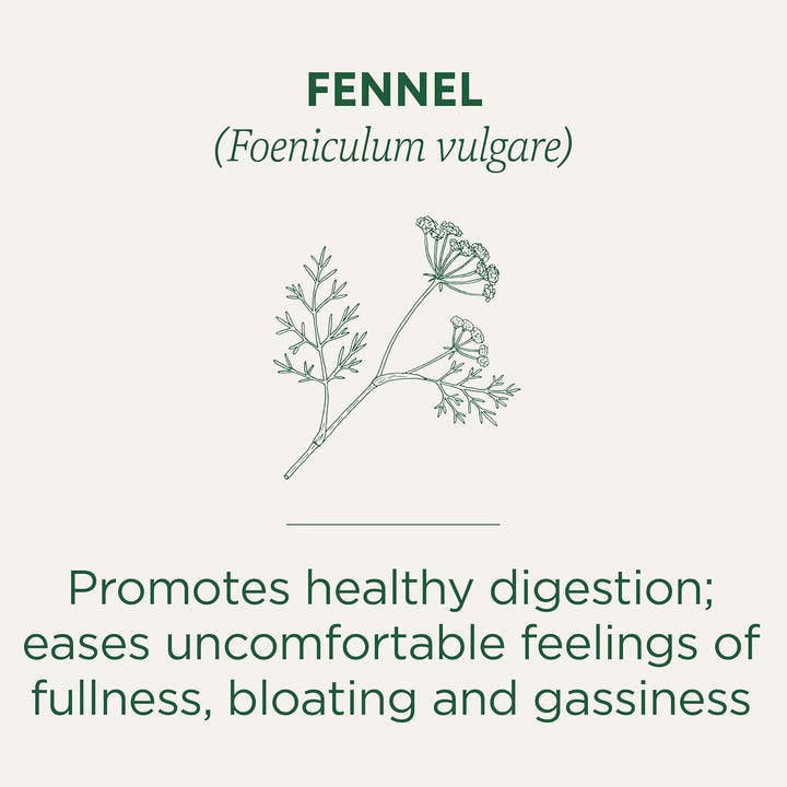 Organic Fennel Tea, 16 Count Tea USA Naty Shop