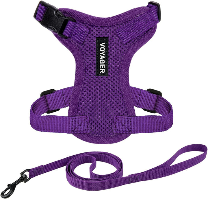 Kit Voyager, Ham anti-evadare pentru pisici cu lesă de 1,5 m, cusături reflectorizante, mâner din neopren, pentru pisici mici, medii și mari, garnitură verde lime/negru, mărimea XS