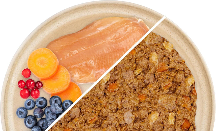 Sanabelle Freshe Mieze - Păstrăv, curcan și pui | Pungi de 100 g complet reciclabile | Hrană umedă gătită cu aburi pentru pisici | Hrană pentru pisici ca proaspăt gătită | O marcă Bosch Pet Food