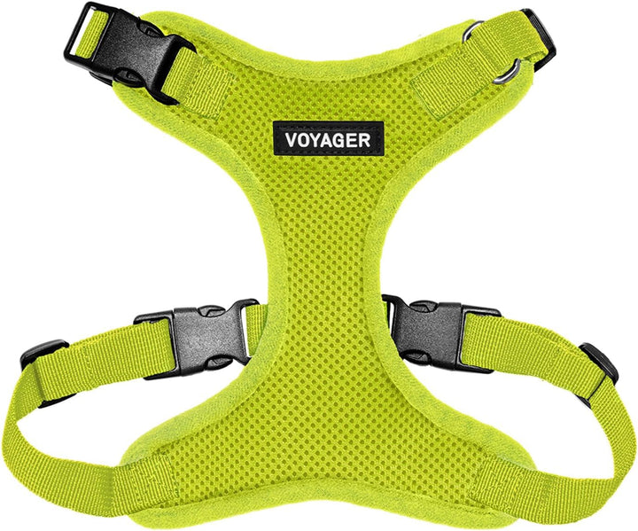 Kit Voyager, Ham anti-evadare pentru pisici cu lesă de 1,5 m, cusături reflectorizante, mâner din neopren, pentru pisici mici, medii și mari, garnitură verde lime/negru, mărimea XS