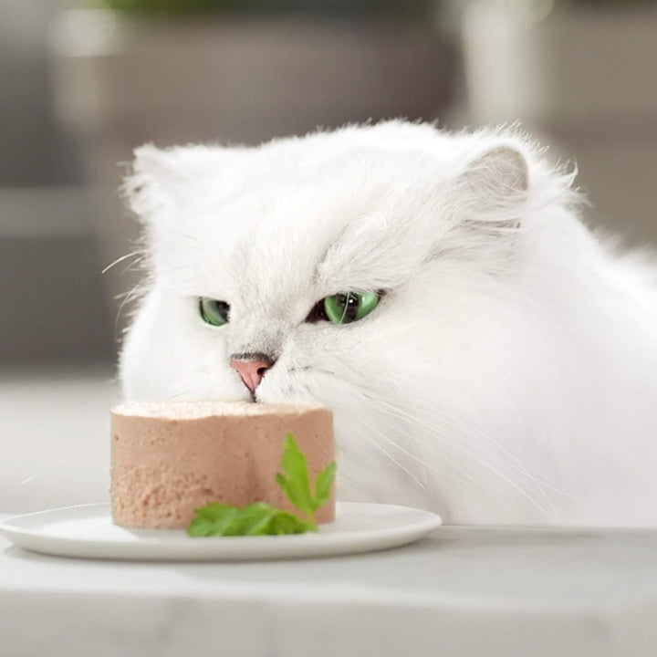 Hrană umedă pentru pisici Purina Gold Mousse cu pește oceanic 24 cutii 85G, cutie 24 X 85G