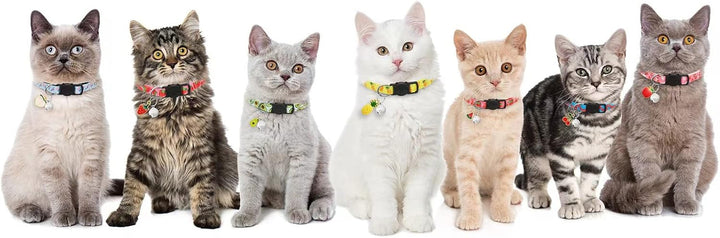 Zgardă pentru pisici, 7 piese, cu clopoțel și pandantive cu fructe, zgardă pentru pisici cu încuietoare de siguranță, reglabilă de la 18-30 cm, articole pentru animale de companie