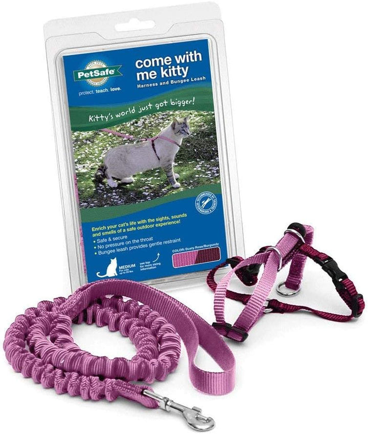 Ham și lesă elastică Petsafe Come with Me Kitty, ham pentru pisici, mărimea S, negru/argintiu
