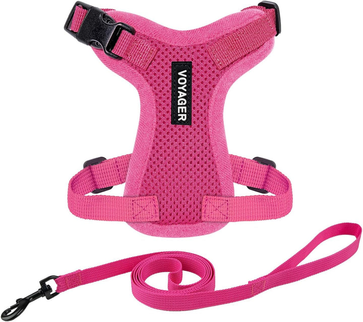 Kit Voyager, Ham anti-evadare pentru pisici cu lesă de 1,5 m, cusături reflectorizante, mâner din neopren, pentru pisici mici, medii și mari, garnitură verde lime/negru, mărimea XS