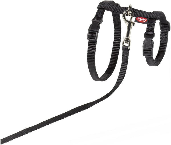 Set pisici XL negru
