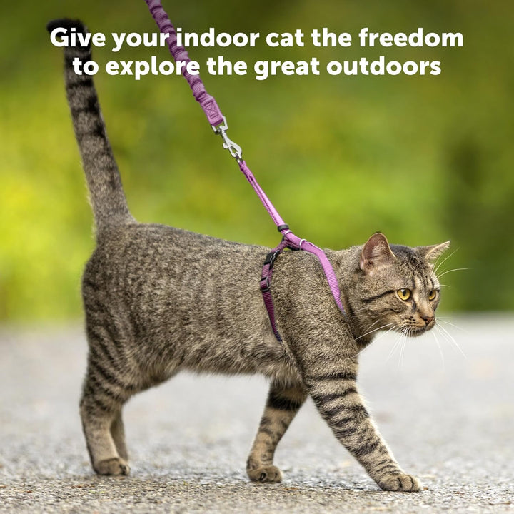 Ham și lesă elastică Petsafe Come with Me Kitty, ham pentru pisici, mărimea S, negru/argintiu