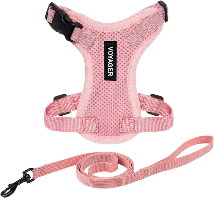 Kit Voyager, Ham anti-evadare pentru pisici cu lesă de 1,5 m, cusături reflectorizante, mâner din neopren, pentru pisici mici, medii și mari, garnitură verde lime/negru, mărimea XS