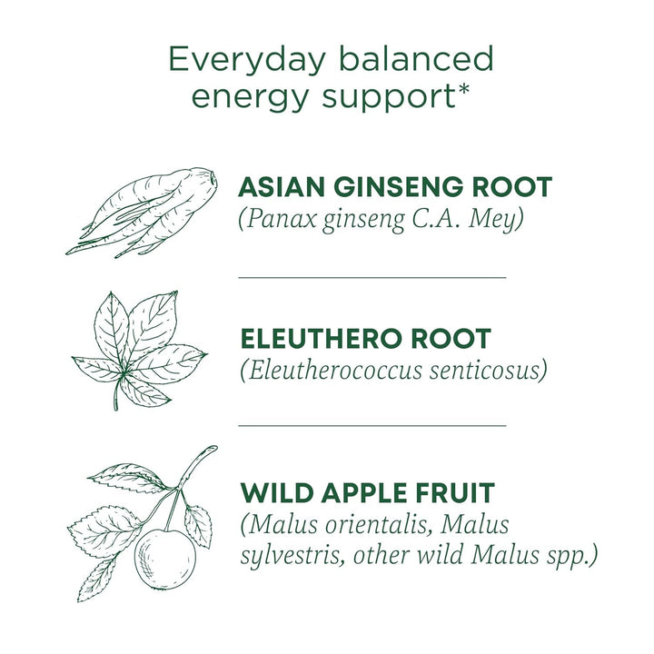 Tea, Organic Stress Ease Focus, with Adaptogens, Everyday Balanced Energy, Ginseng Wild Apple Mint, 16 Tea Bags Tea USA Naty Shop