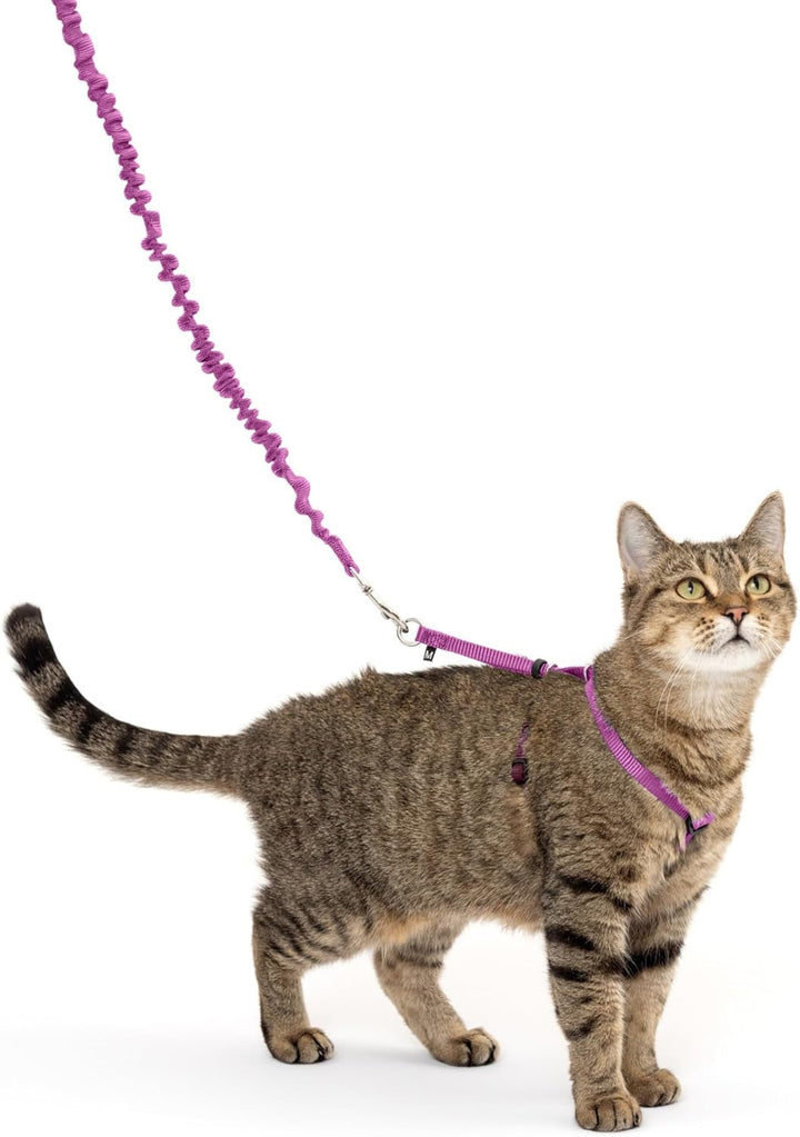 Ham și lesă elastică Petsafe Come with Me Kitty, ham pentru pisici, mărimea S, negru/argintiu
