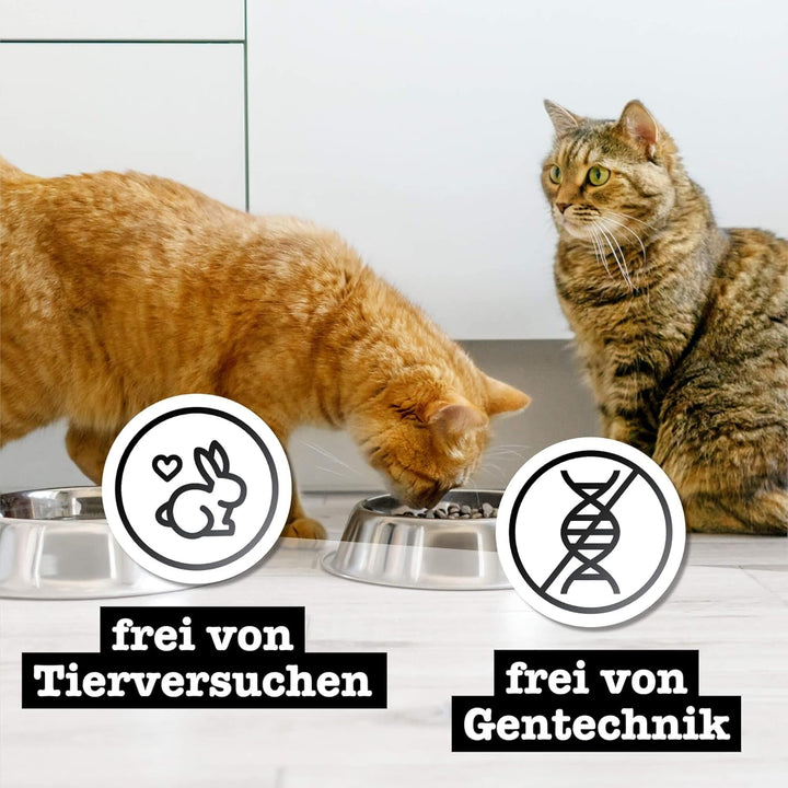 Catz Finefood Purrrrr Wild Boar Monoprotein Cat Food Wet N° 109, Pentru pisici sensibile din punct de vedere nutrițional, 70% carne, cutie 6 X 400G