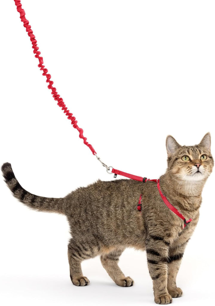 Ham și lesă elastică Petsafe Come with Me Kitty, ham pentru pisici, mărimea S, negru/argintiu