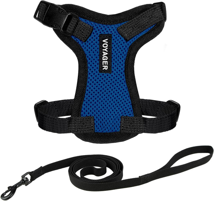 Kit Voyager, Ham anti-evadare pentru pisici cu lesă de 1,5 m, cusături reflectorizante, mâner din neopren, pentru pisici mici, medii și mari, garnitură verde lime/negru, mărimea XS