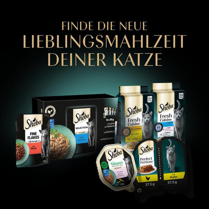 Sheba Fresh & Fine Multipack pungă porție 3 varietăți cod, somon, ton în sos MSC 5X15X50G