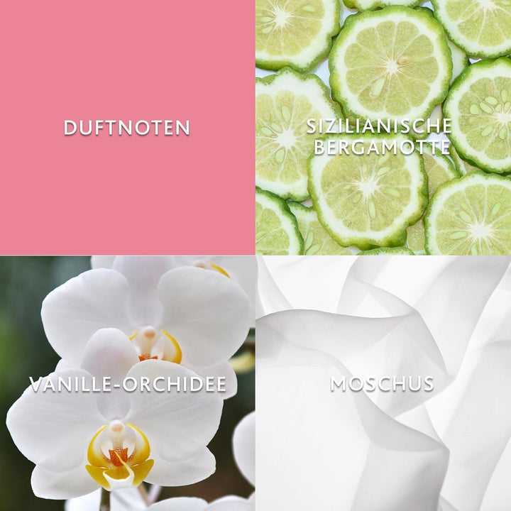 Christina Aguilera - Definition Eau De Parfum, Parfum ușor, Cu mandarină, orhidee și chihlimbar, Note florale și citrice, Parfum răcoritor, Ideal pentru vară, Parfum pentru femei - 50 ml