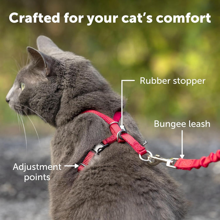 Ham și lesă elastică Petsafe Come with Me Kitty, ham pentru pisici, mărimea S, negru/argintiu