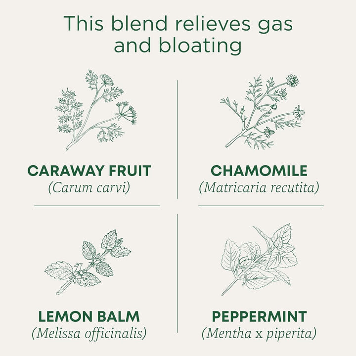 Organic Gas Relief Digestive Tea (Pack of 6) - Relieves Gas & Bloating- 96 Tea Bags Total Tea USA Naty Shop