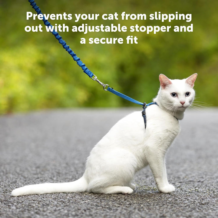 Ham și lesă elastică Petsafe Come with Me Kitty, ham pentru pisici, mărimea S, negru/argintiu
