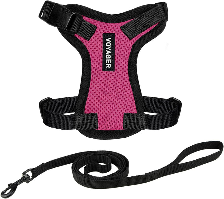 Kit Voyager, Ham anti-evadare pentru pisici cu lesă de 1,5 m, cusături reflectorizante, mâner din neopren, pentru pisici mici, medii și mari, garnitură verde lime/negru, mărimea XS