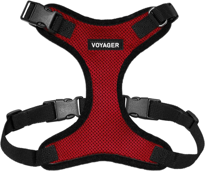 Kit Voyager, Ham anti-evadare pentru pisici cu lesă de 1,5 m, cusături reflectorizante, mâner din neopren, pentru pisici mici, medii și mari, garnitură verde lime/negru, mărimea XS