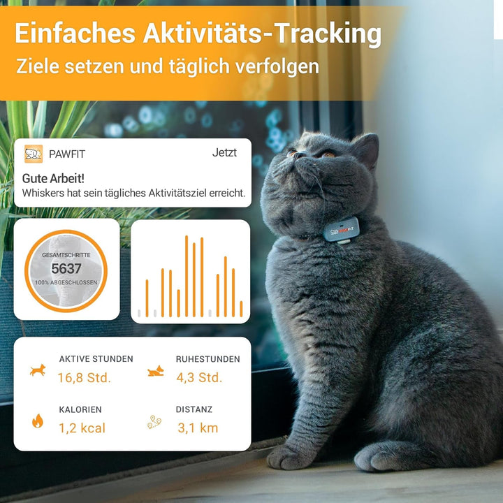 Tracker GPS Pawfit Lite cu 4G pentru Pisici | Urmărire în timp real | Monitorizare activitate | Istoric locații | Rază nelimitată | Include zgardă cu închidere cu capsă | Gri liliac
