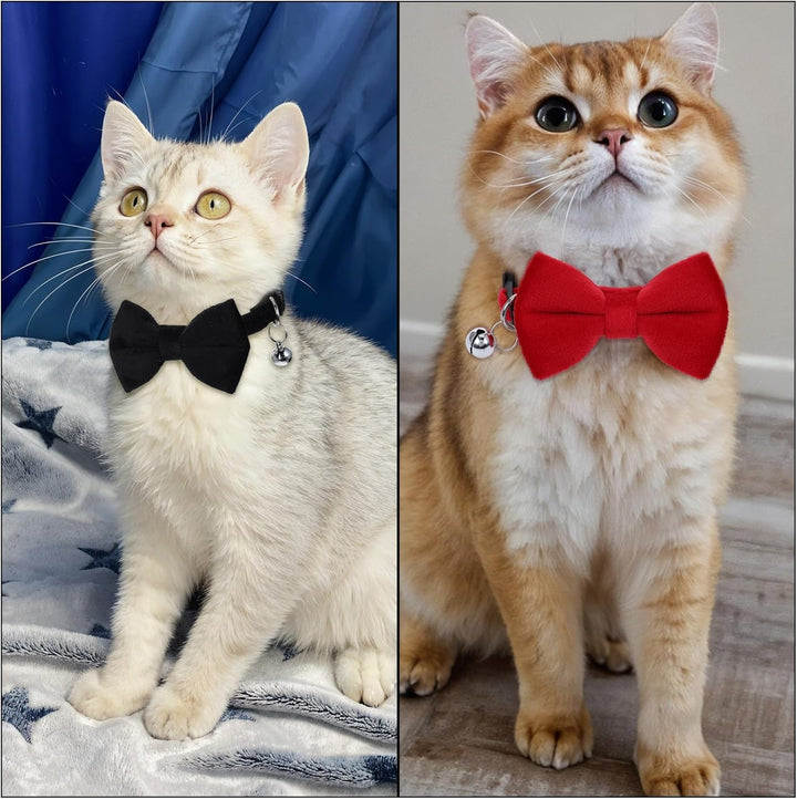 Zgardă pentru pisici, zgardă detașabilă cu închidere de siguranță, pachet de 2 zgărzi pentru pisoi cu clopoțel, zgardă reglabilă pentru pisoi, accesorii personalizate pentru animale de companie