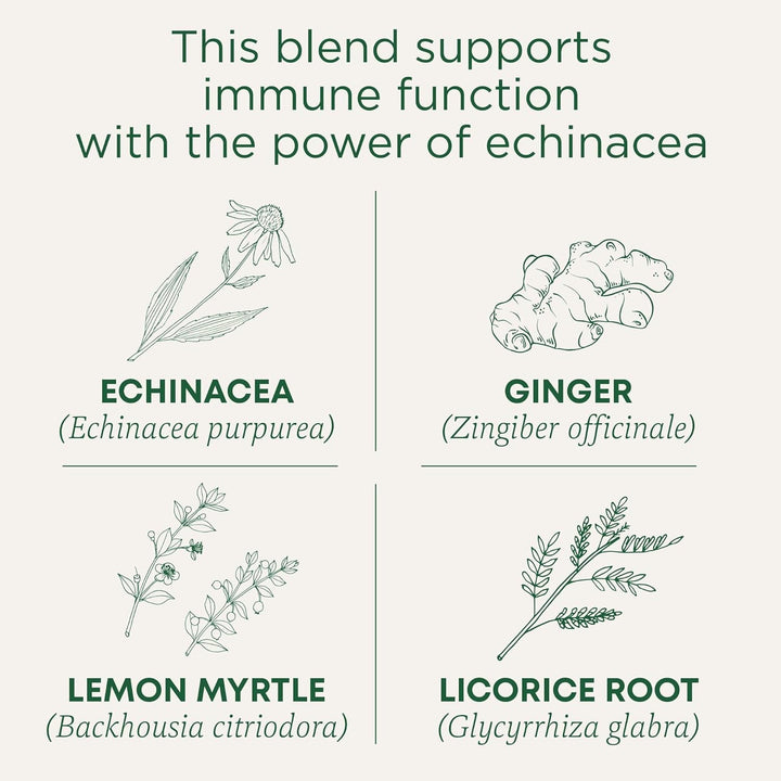 Organic Immune Zoom Lemon Ginger Tea - 16 Ct. Tea USA Naty Shop