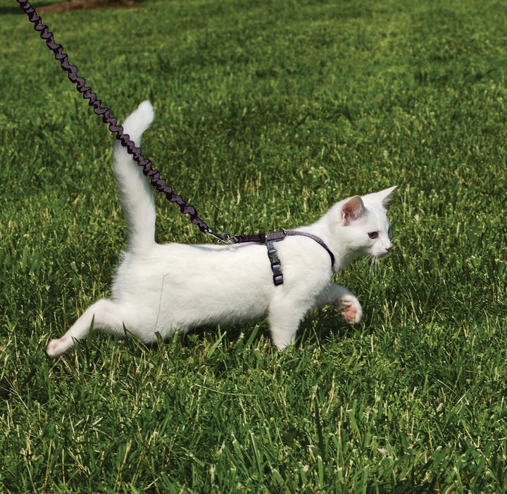 Ham și lesă elastică Petsafe Come with Me Kitty, ham pentru pisici, mărimea S, negru/argintiu