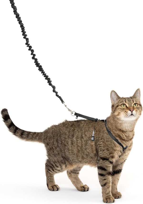 Ham și lesă elastică Petsafe Come with Me Kitty, ham pentru pisici, mărimea S, negru/argintiu