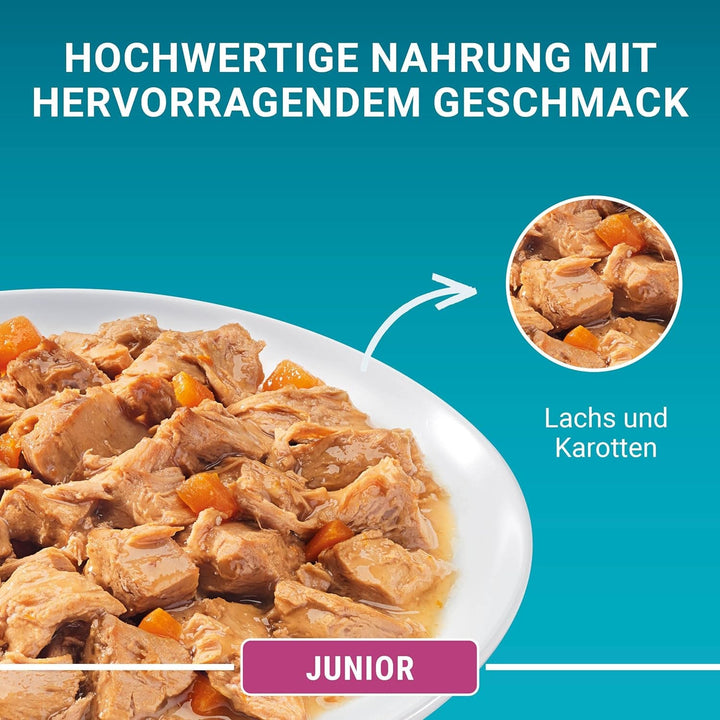 PURINA ONE Junior somon și morcovi
