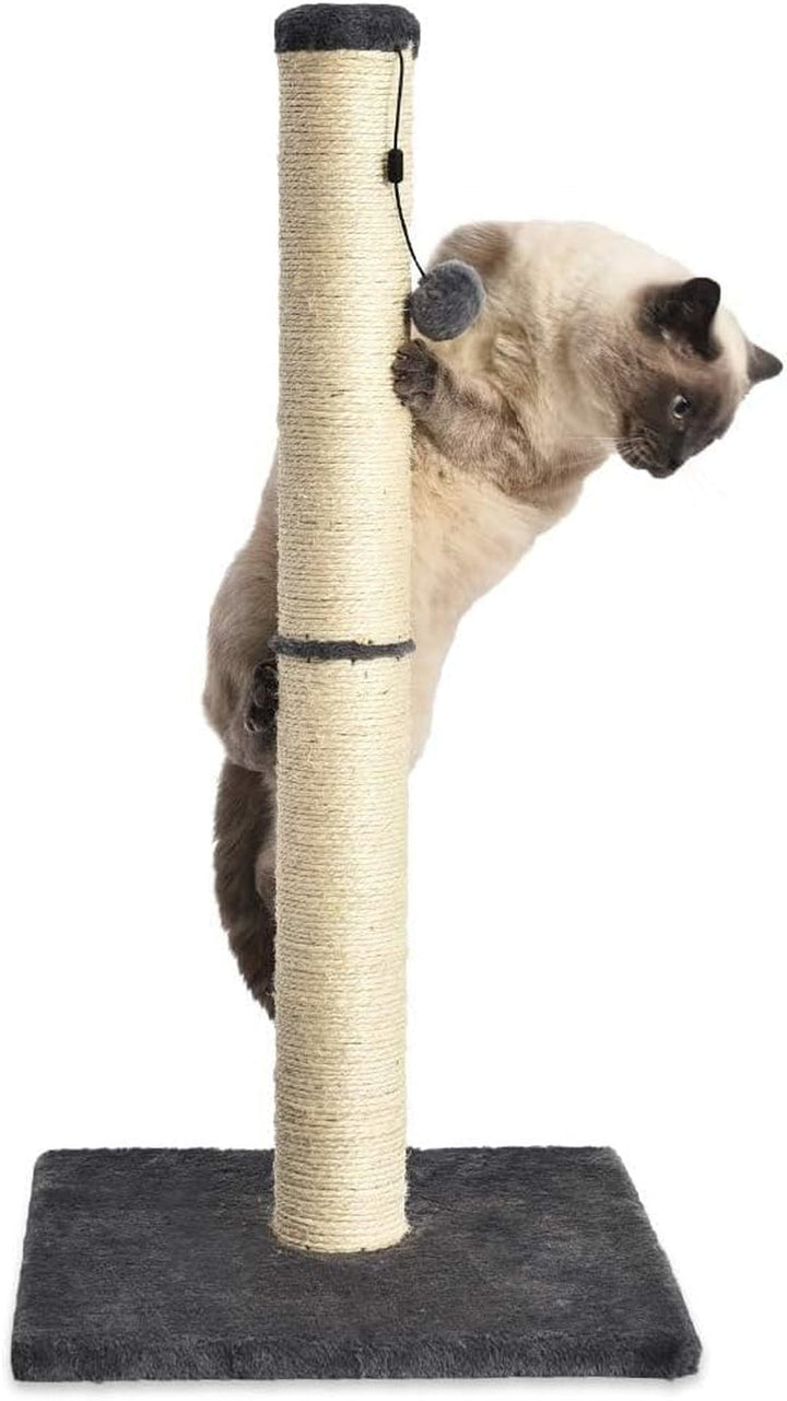 Suport pentru pisici Amazon Basics, dimensiune medie, 40,01 x 40,01 x 80,01 cm, gri