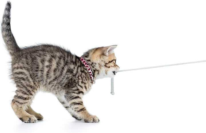 Zgarda Smart ID pentru pisici Max & Molly Urban Pets - Little Monsters - mărime 1