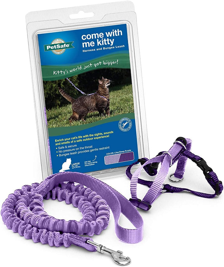 Ham și lesă elastică Petsafe Come with Me Kitty, ham pentru pisici, mărimea S, negru/argintiu