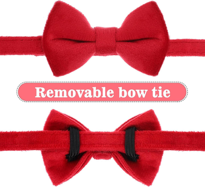 Zgardă pentru pisici, zgardă detașabilă cu închidere de siguranță, pachet de 2 zgărzi pentru pisoi cu clopoțel, zgardă reglabilă pentru pisoi, accesorii personalizate pentru animale de companie