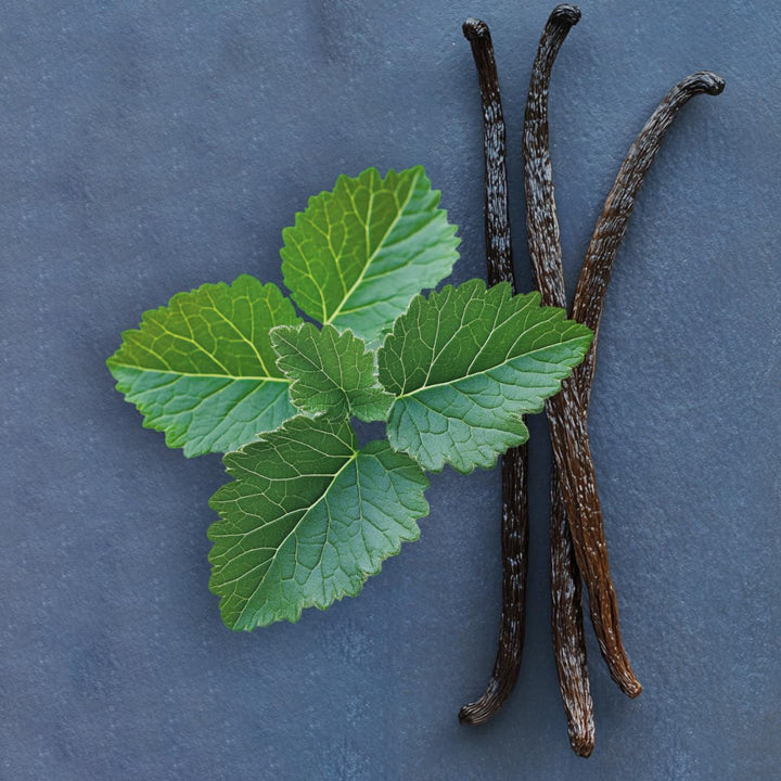 Elie Saab Le Parfum Royal 30 ml – Apă de parfum pentru femei – Parfum chypre ambrat – Note captivante de mandarină, trandafir și ambră – Sticlă transparentă din sticlă