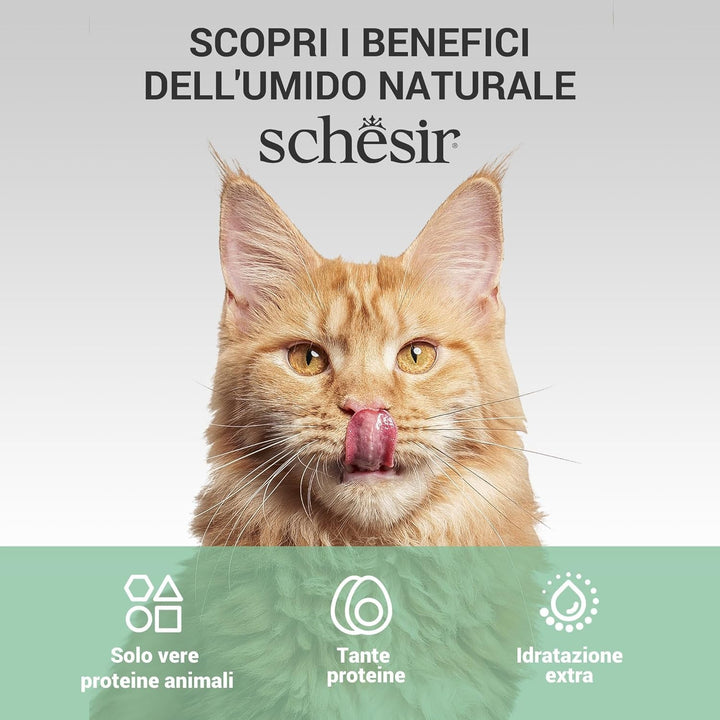 , File de ton cu roșioară în jeleu, Hrană umedă complementară pentru pisici, Rețetă originală, 100% naturală, 12 cutii la 70 G