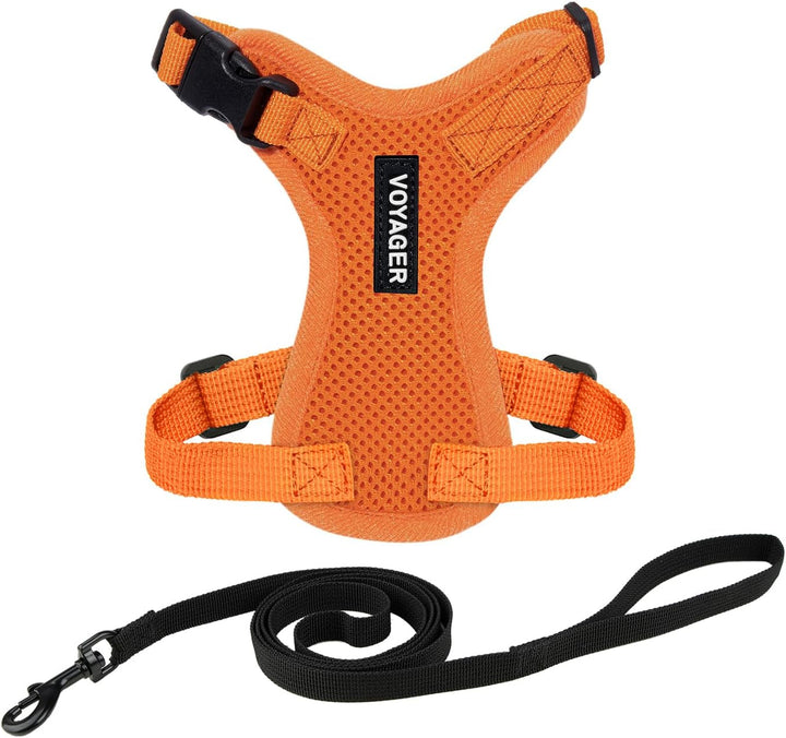 Kit Voyager, Ham anti-evadare pentru pisici cu lesă de 1,5 m, cusături reflectorizante, mâner din neopren, pentru pisici mici, medii și mari, garnitură verde lime/negru, mărimea XS