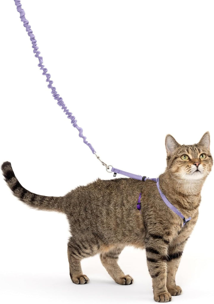 Ham și lesă elastică Petsafe Come with Me Kitty, ham pentru pisici, mărimea S, negru/argintiu