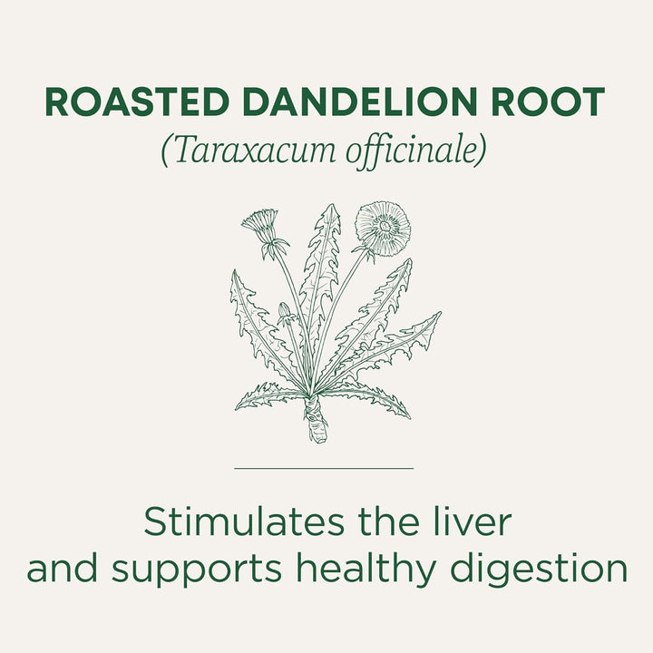 Tea, Organic Roasted Dandelion Root, Supports Kidney Function & Healthy Digestion, 96 Tea Bags (6 Pack) Tea USA Naty Shop