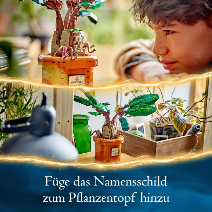 LEGO Harry Potter Magic Potion Plant: Mandrake, jucărie plantă cu ghiveci, cadou magic pentru fete, băieți și toți fanii, set de joacă pentru copii imaginativi, decorațiuni interioare 76433