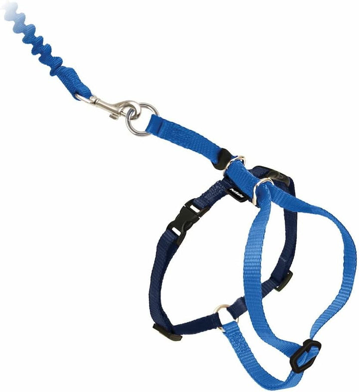 Ham și lesă elastică Petsafe Come with Me Kitty, ham pentru pisici, mărimea S, negru/argintiu