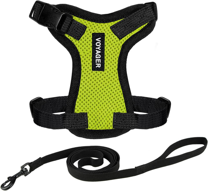 Kit Voyager, Ham anti-evadare pentru pisici cu lesă de 1,5 m, cusături reflectorizante, mâner din neopren, pentru pisici mici, medii și mari, garnitură verde lime/negru, mărimea XS