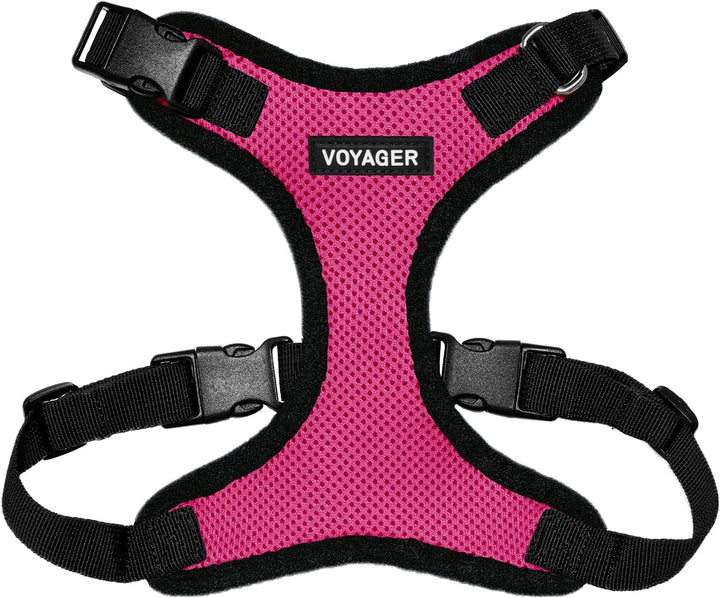 Kit Voyager, Ham anti-evadare pentru pisici cu lesă de 1,5 m, cusături reflectorizante, mâner din neopren, pentru pisici mici, medii și mari, garnitură verde lime/negru, mărimea XS
