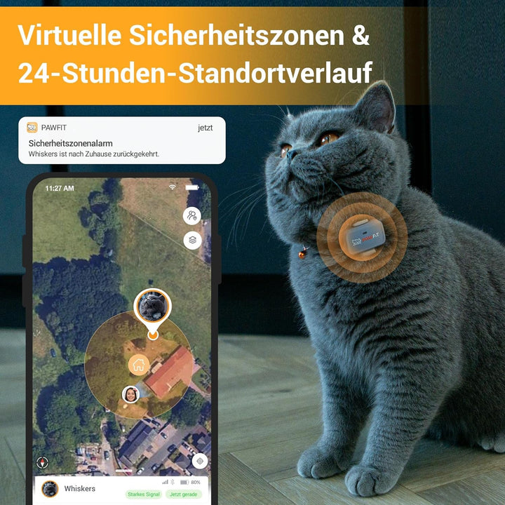 Tracker GPS Pawfit Lite cu 4G pentru Pisici | Urmărire în timp real | Monitorizare activitate | Istoric locații | Rază nelimitată | Include zgardă cu închidere cu capsă | Gri liliac