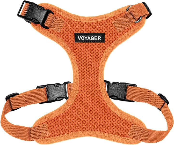 Kit Voyager, Ham anti-evadare pentru pisici cu lesă de 1,5 m, cusături reflectorizante, mâner din neopren, pentru pisici mici, medii și mari, garnitură verde lime/negru, mărimea XS
