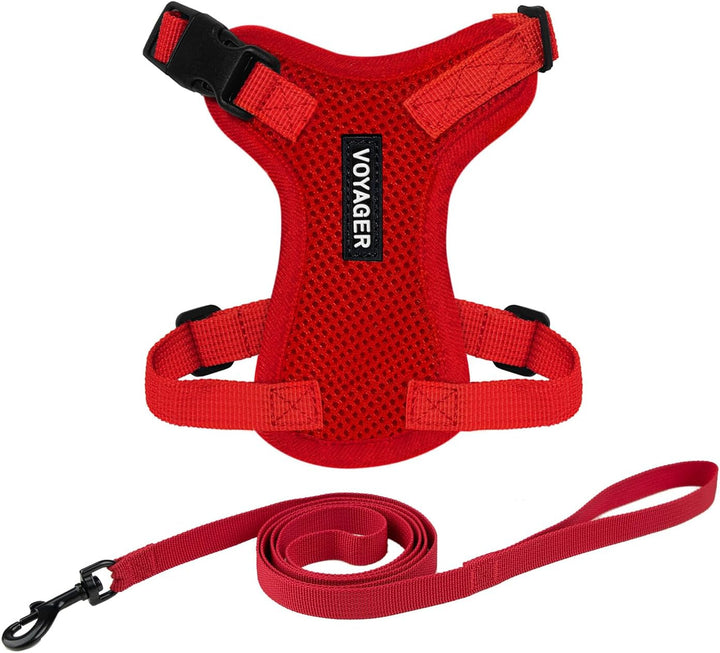 Kit Voyager, Ham anti-evadare pentru pisici cu lesă de 1,5 m, cusături reflectorizante, mâner din neopren, pentru pisici mici, medii și mari, garnitură verde lime/negru, mărimea XS