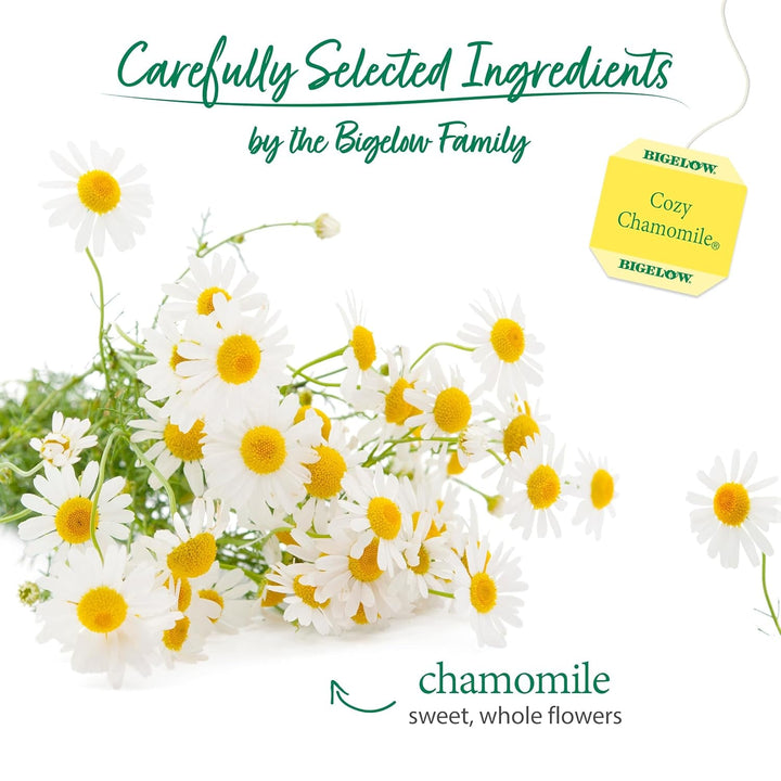 Bigelow Cozy Chamomile Herbal Tea,Caffeine Free Tea with Chamomile Flowers, 100 Count Box (Pack of 1) Tea USA Naty Shop