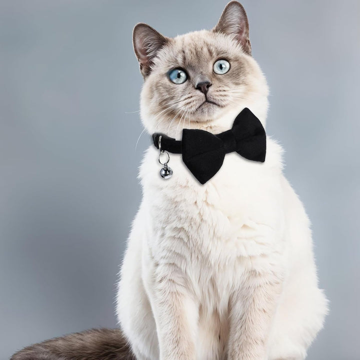 Zgardă pentru pisici, zgardă detașabilă cu închidere de siguranță, pachet de 2 zgărzi pentru pisoi cu clopoțel, zgardă reglabilă pentru pisoi, accesorii personalizate pentru animale de companie