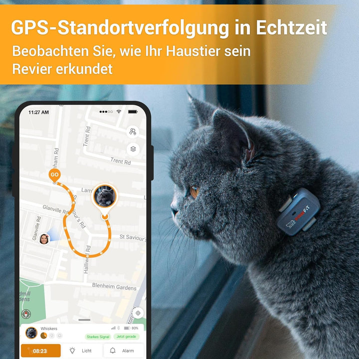 Tracker GPS Pawfit Lite cu 4G pentru Pisici | Urmărire în timp real | Monitorizare activitate | Istoric locații | Rază nelimitată | Include zgardă cu închidere cu capsă | Gri liliac