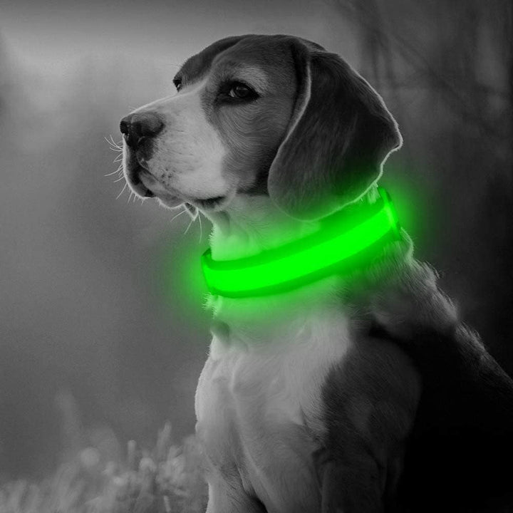 Zgardă LED reîncărcabilă pentru căței, zgardă LED pentru pisici, zgardă confortabilă cu lumină pentru căței (verde, mare)