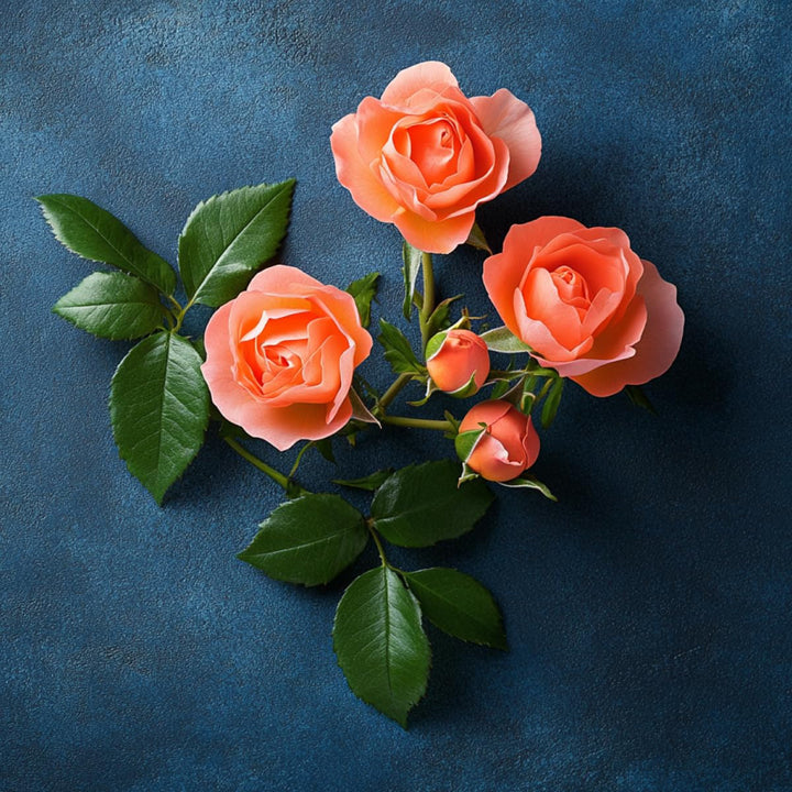 Elie Saab Le Parfum Royal 30 ml – Apă de parfum pentru femei – Parfum chypre ambrat – Note captivante de mandarină, trandafir și ambră – Sticlă transparentă din sticlă